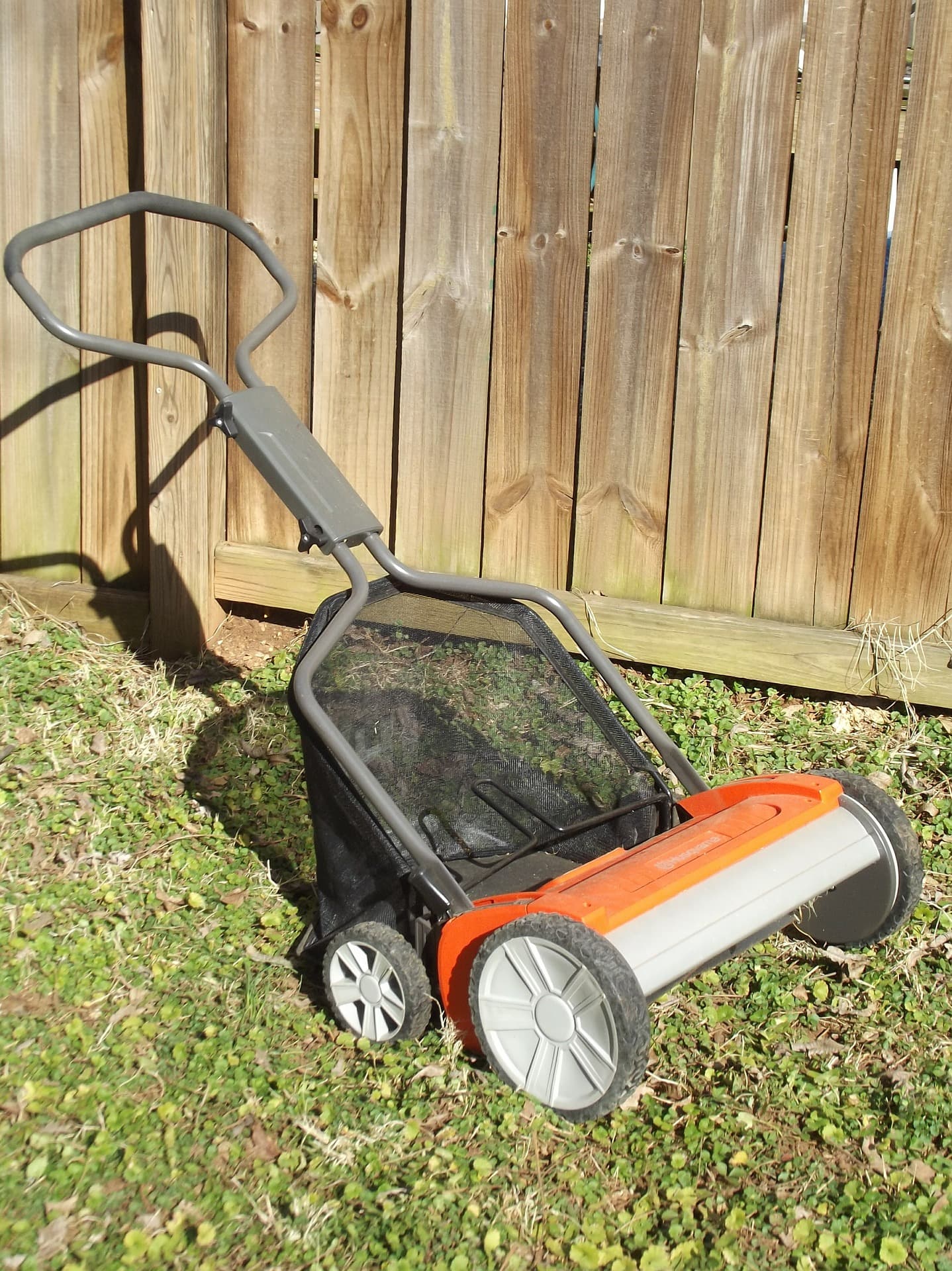 Dethatch Your Lawn Everearth Landscaping