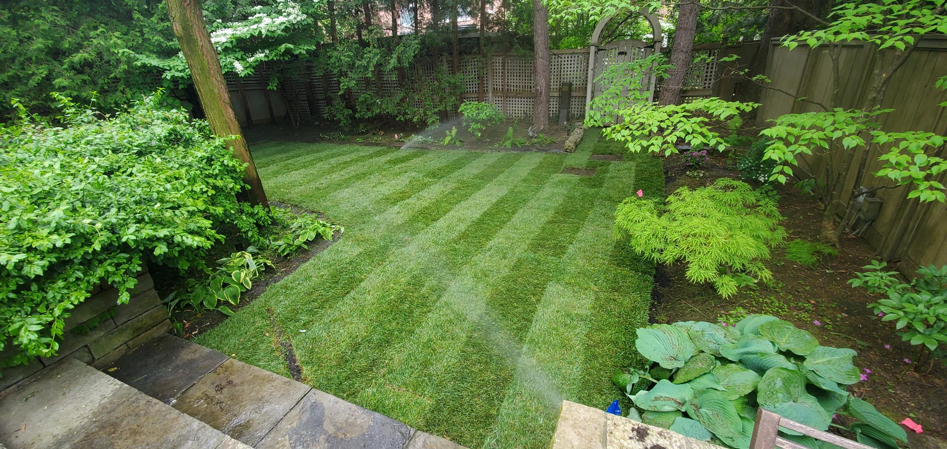 Toronto Sod Installation