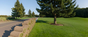 Can Sod Be Installed Over Existing Grass? Why You Shouldn’t Try It