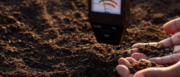 How to Test Soil Before Sod Installation