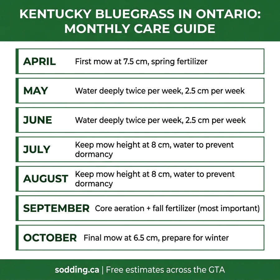Kentucky Bluegrass for Ontario Lawns: What You Need to Know infographic