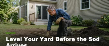 How to Level an Uneven Yard Before Installing New Sod