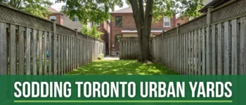 The Challenges of Sodding Toronto Urban Yards and How to Overcome Them